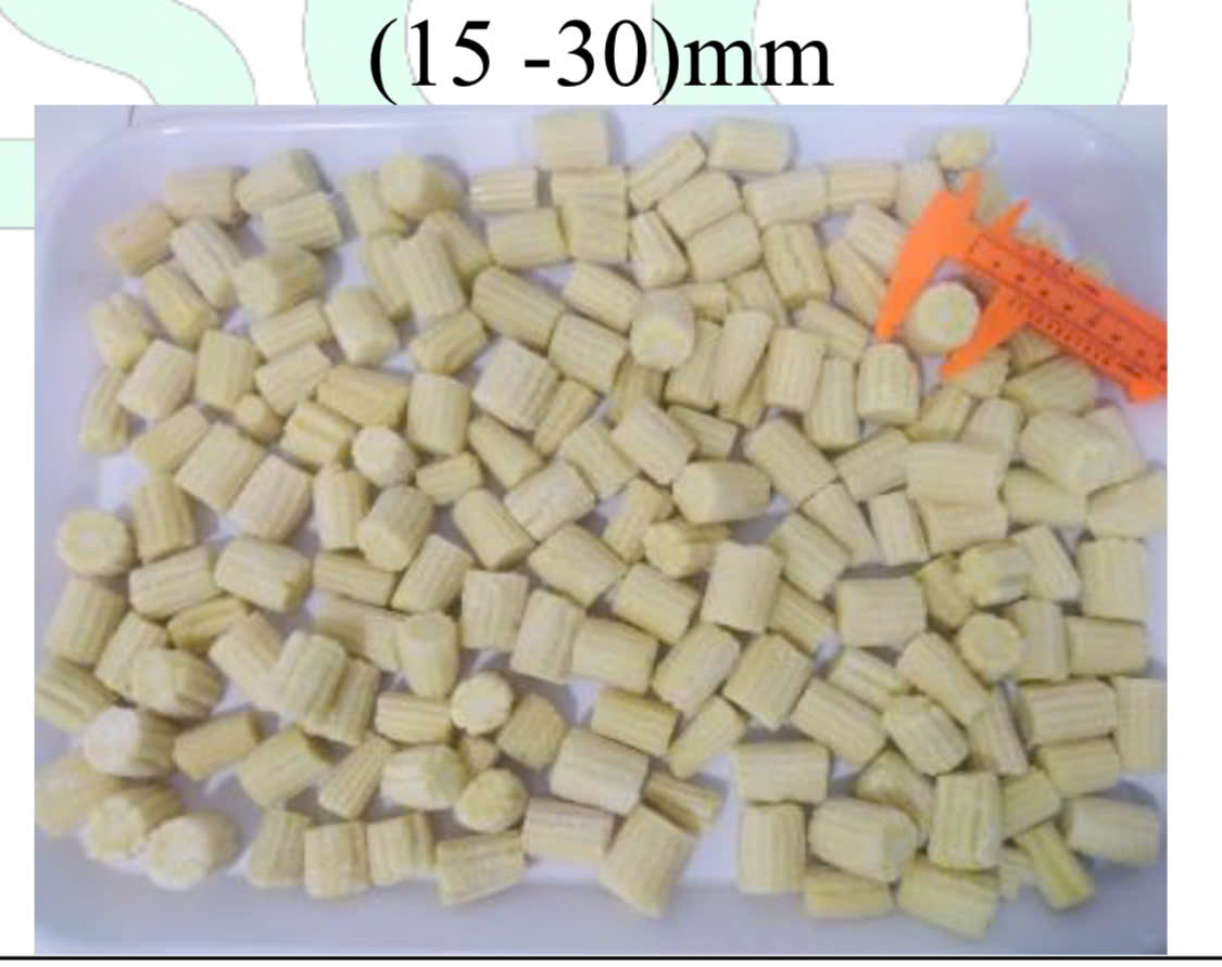 Baby Corn Cut Iqf Szie 1.5 3.0 Cm Min 10 22 Mm