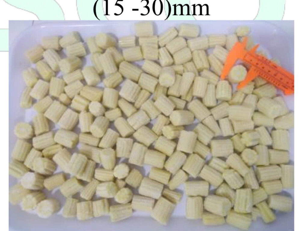 Baby Corn Cut Iqf Szie 1.5 3.0 Cm Min 10 22 Mm