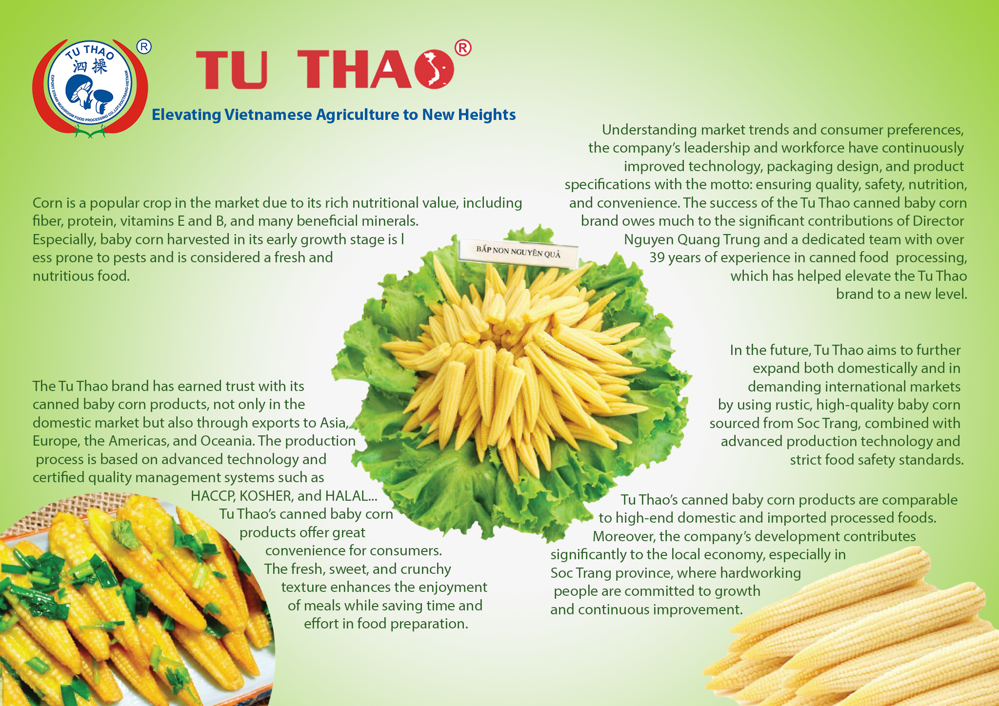 Tu Thao Canned Baby Corn – Export Standard