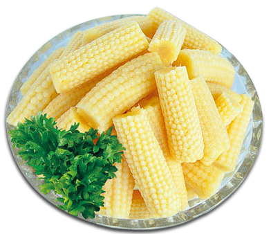Canned baby corn cut