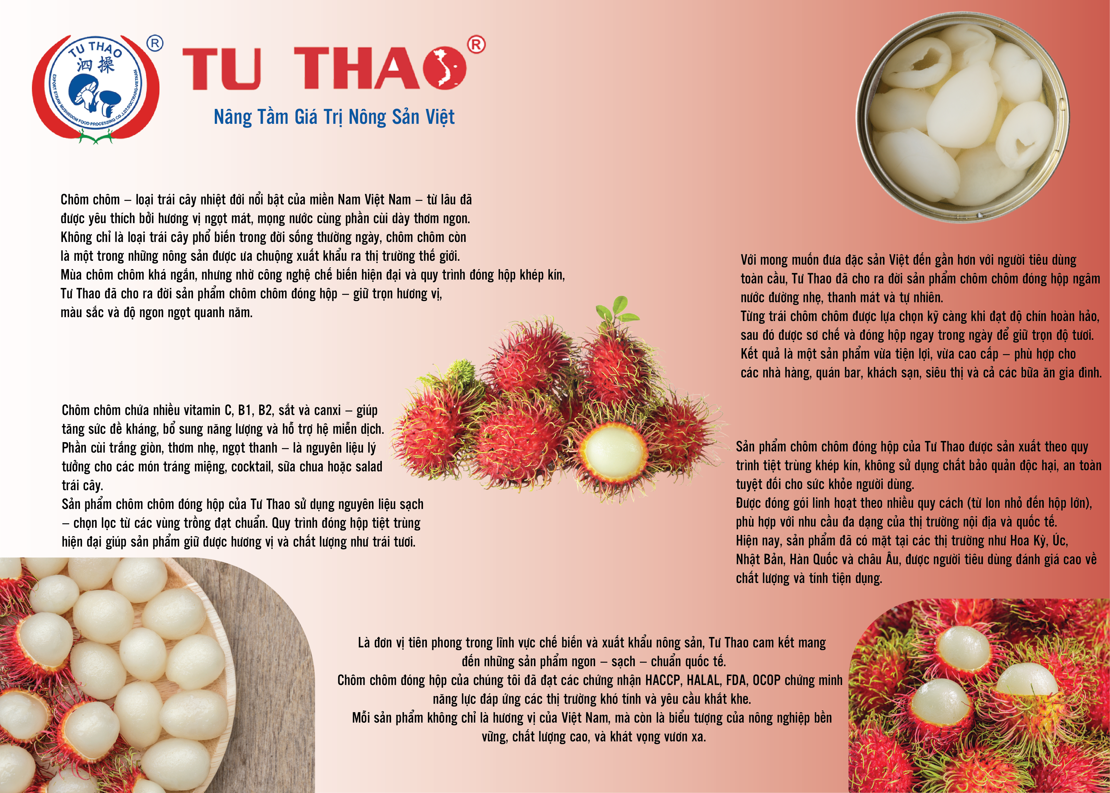 Chôm chôm đóng hộp Tu Thao