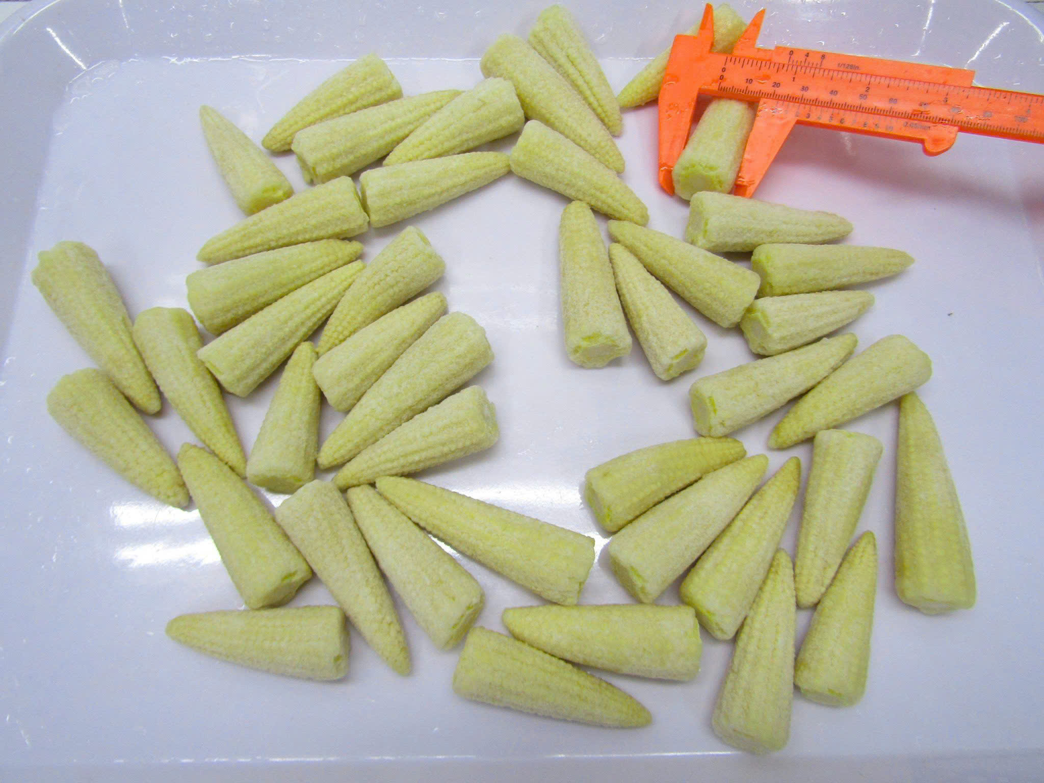 Whole Baby Corn Iqf Szie 5 7 Cm Min 10 22 Mm