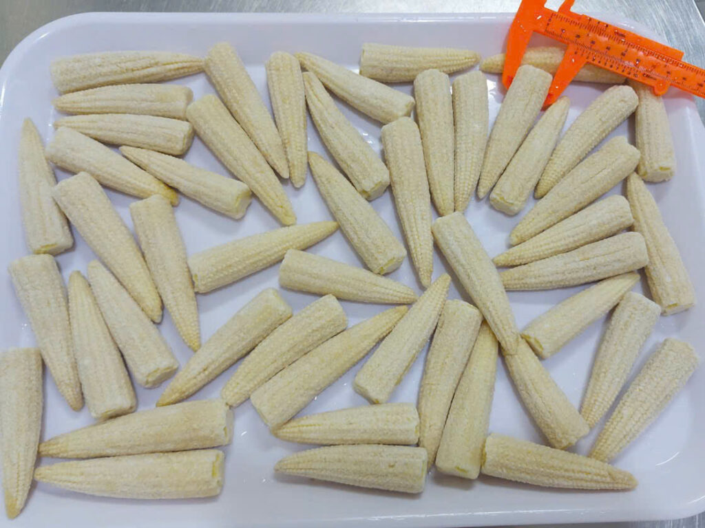 Whole Baby Corn Iqf Szie 6 10 Cm Min 10 22 Mm (2)