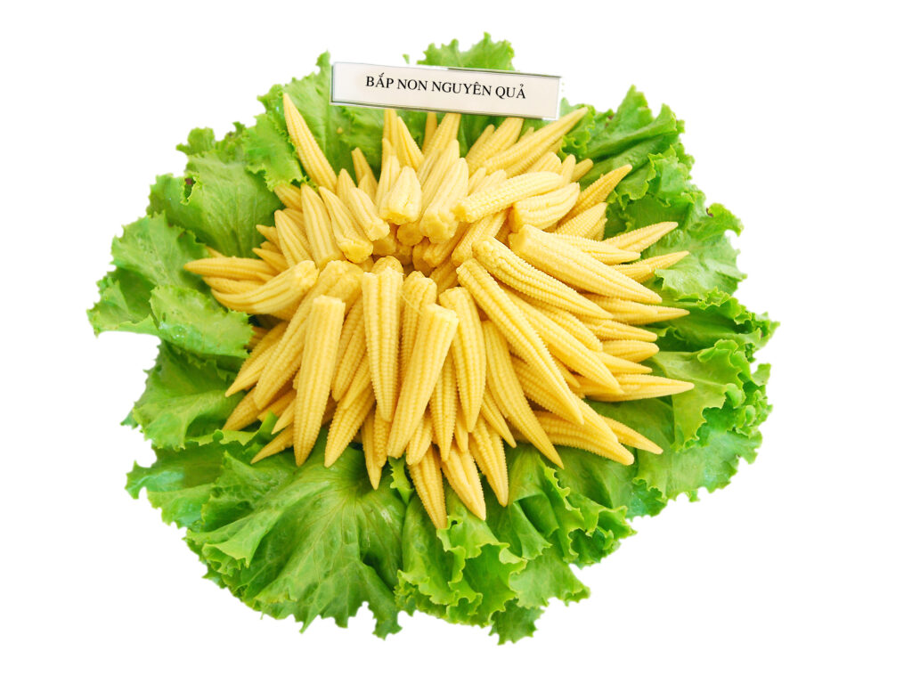 Bắp non nguyên quả đóng lon