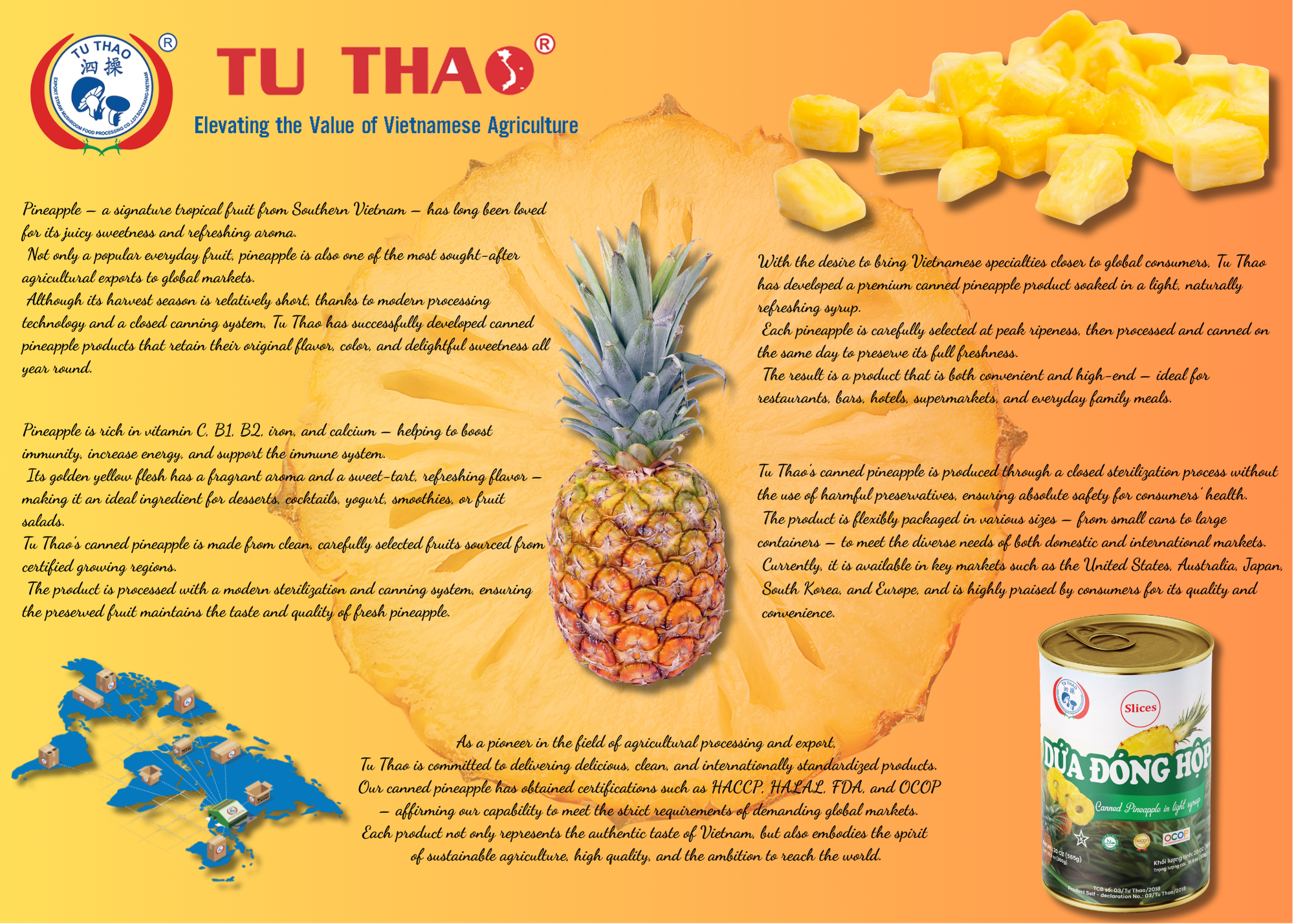 Tu Thao Canned Baby Corn – Export Standard