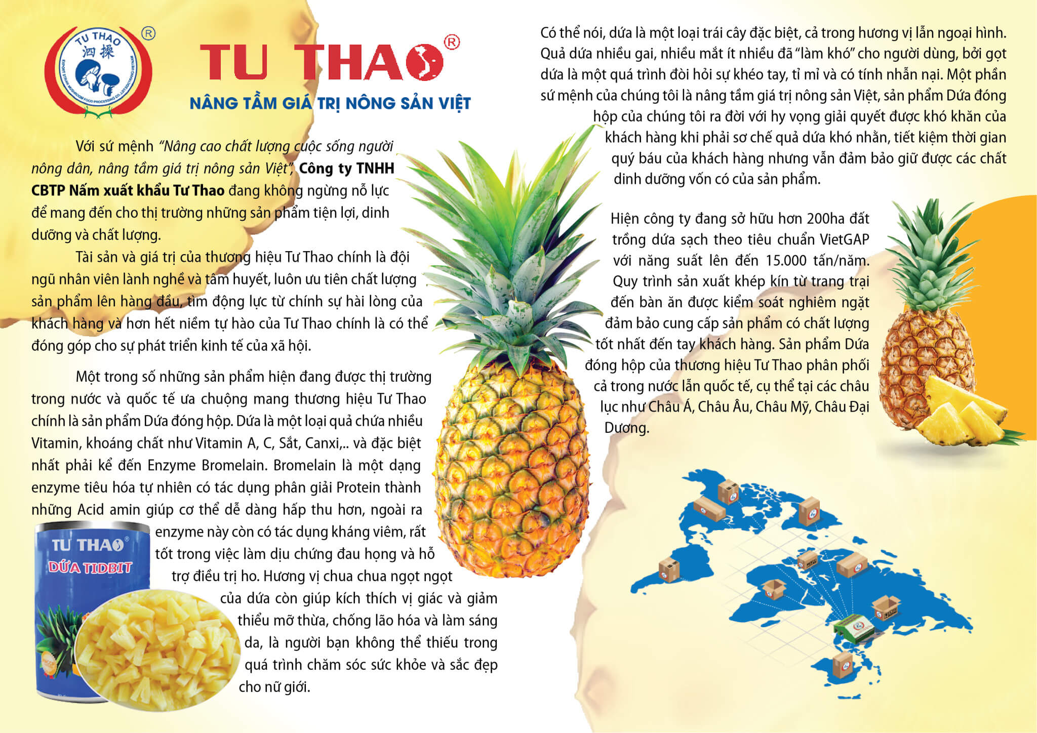 Tu Thao Canned Baby Corn – Export Standard