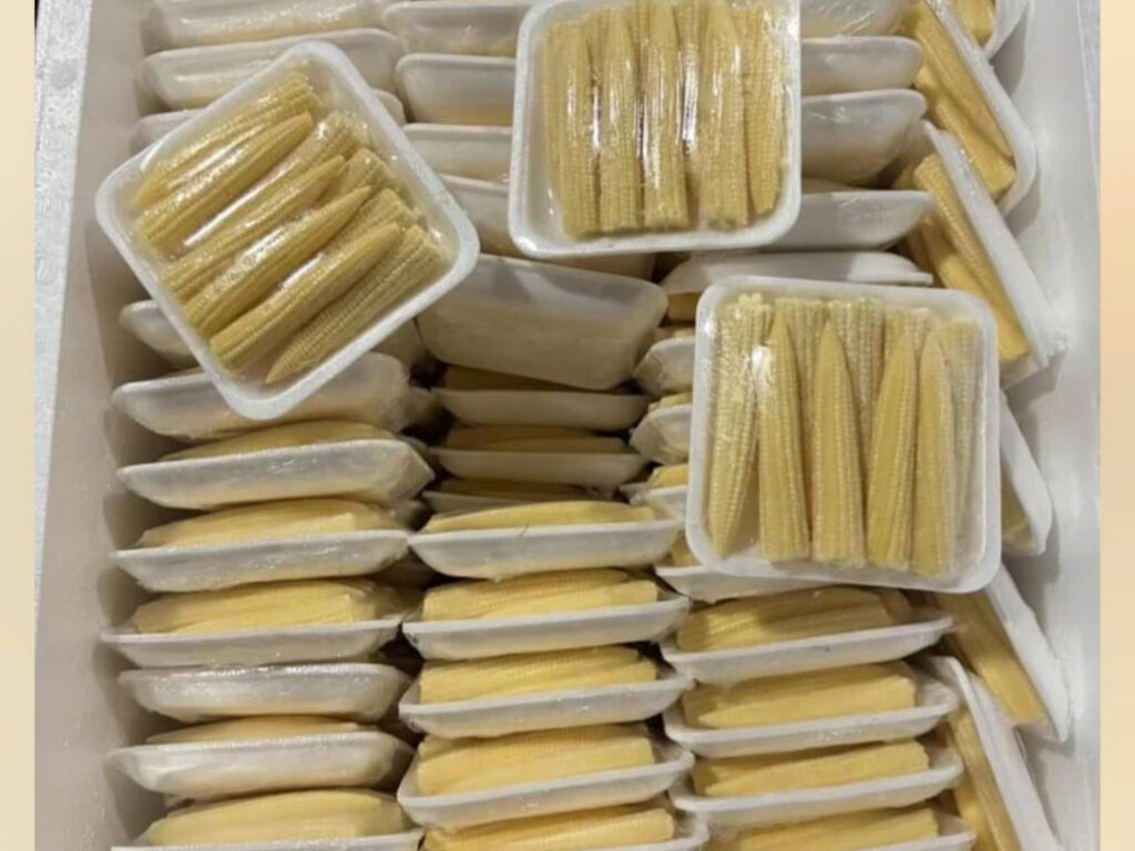 Z5865223976279 2367e884441a0080e35a110a2649f961