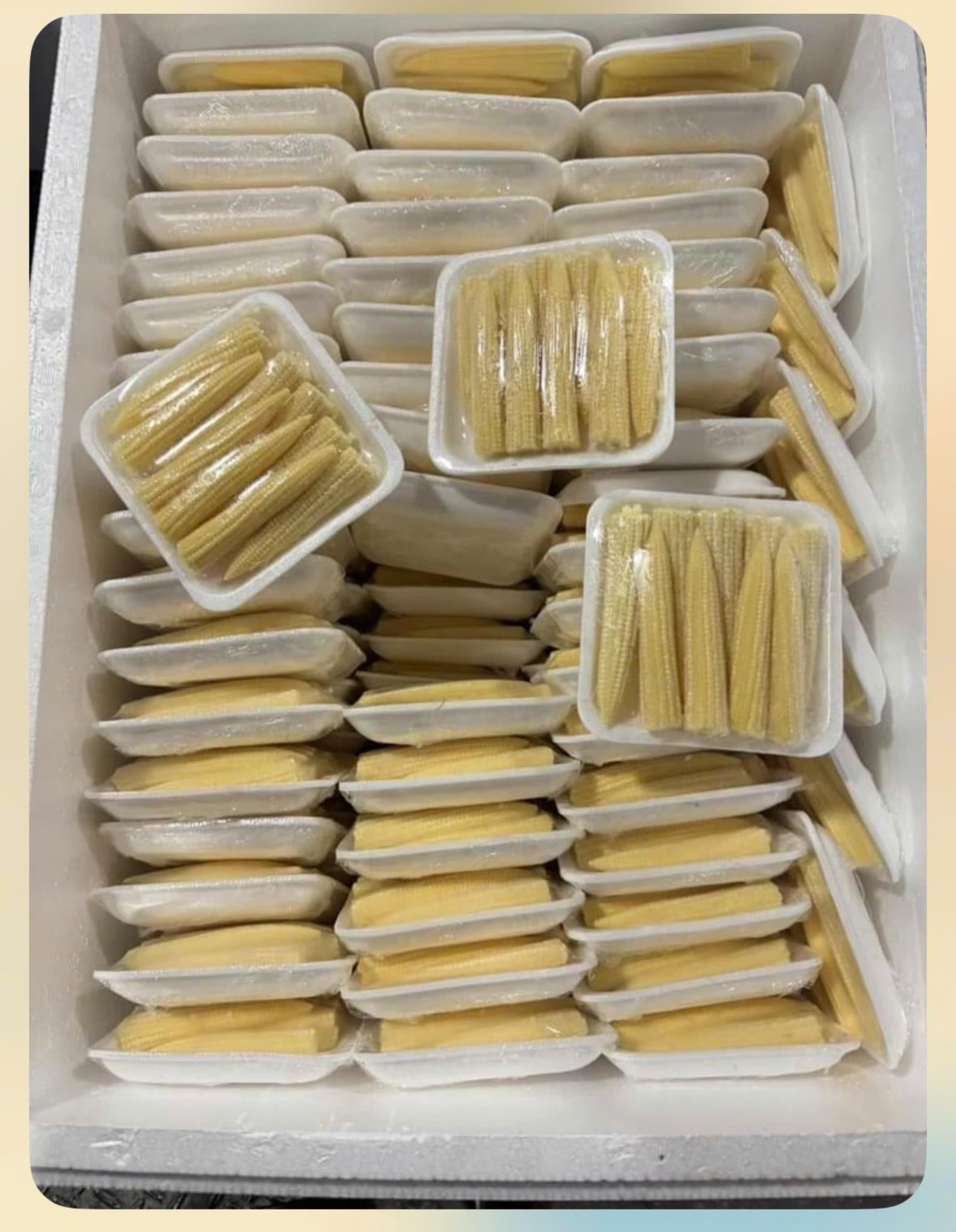 Z5865223976279 2367e884441a0080e35a110a2649f961